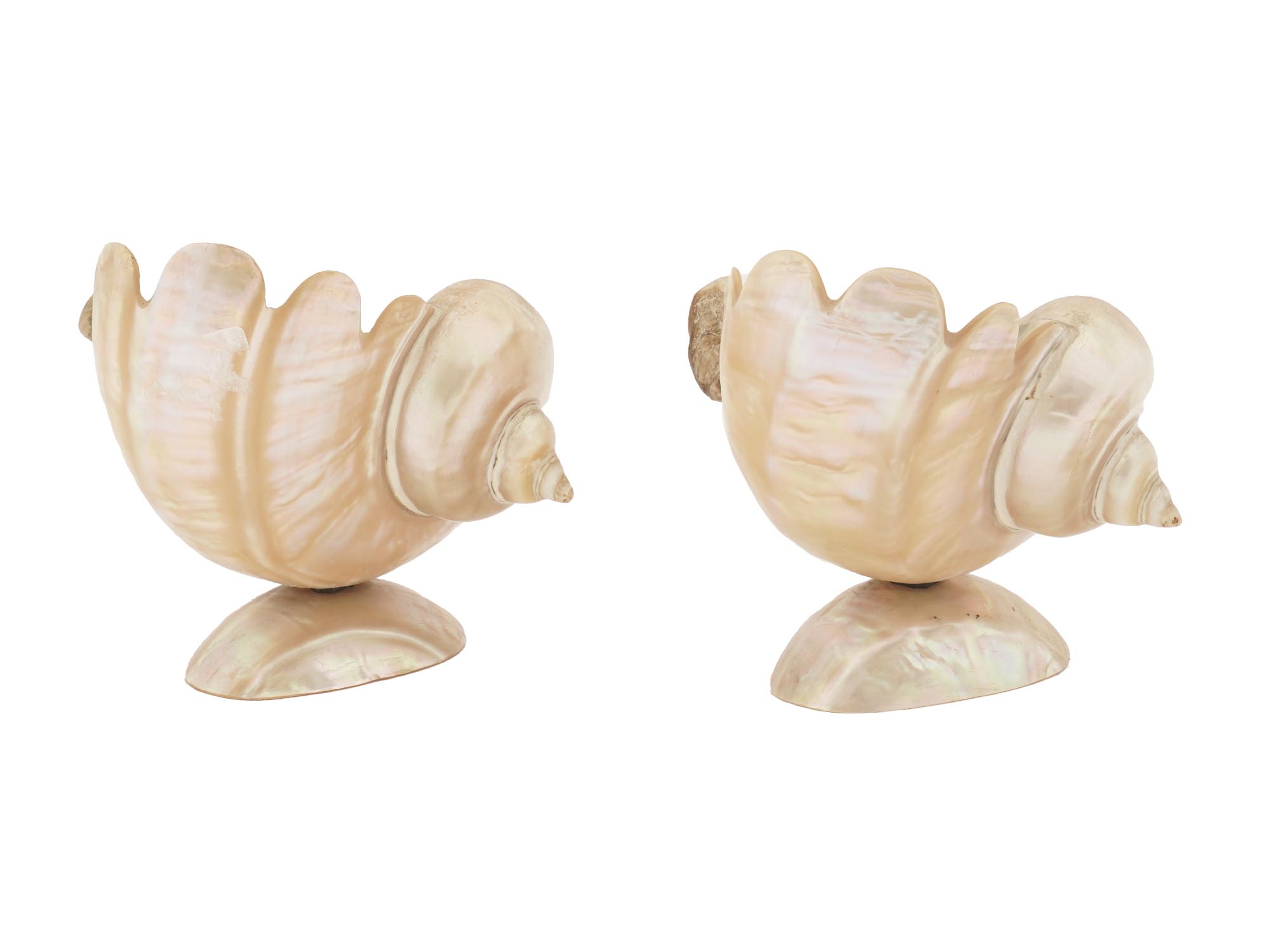 PAIR OF NACRE MOTHER OF PEARL SEA SHELLS VASES PIC-1